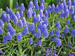 IMG_5884.jpg