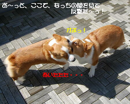 031306.jpg