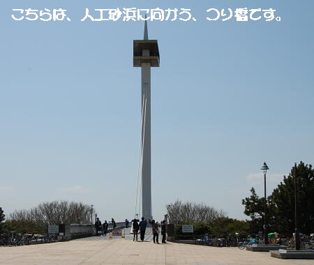 0403034.jpg