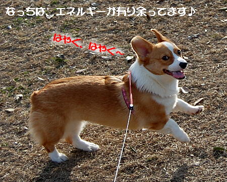 032102.jpg