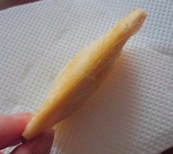 太陽のタマゴ 栽培 種 2