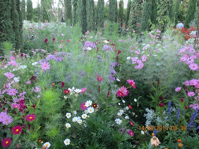 スペイン ヘネラリーフェ庭園の風景 ハッピーグランパのガーデニング 楽天ブログ