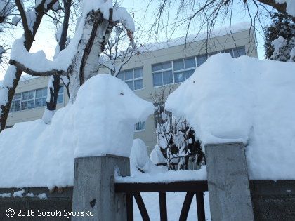 宮の森日記 クリスマス イブ 札幌の水彩色鉛筆画家 イラストレーター鈴木周作 楽天ブログ