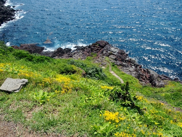 P6264440 (640x480).jpg