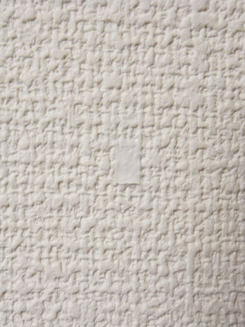 シード 壁の汚れ隠し ホワイト アイボリー Tatsuyatsutaya S Blog 楽天ブログ