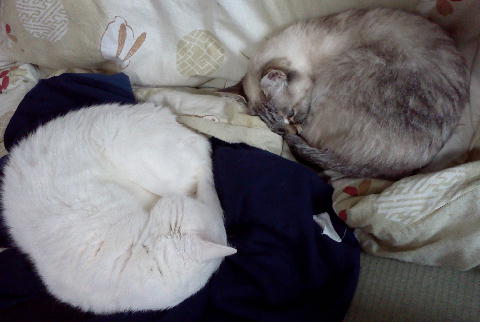 IMG00150.jpg