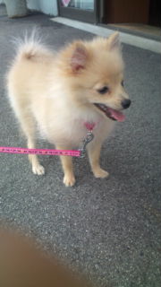 20110731143922.jpg