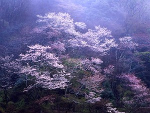 「ここまで来ましたか。」
