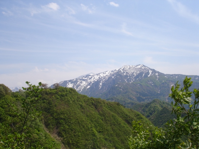山