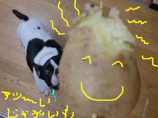 aじゃがいも 001.jpg