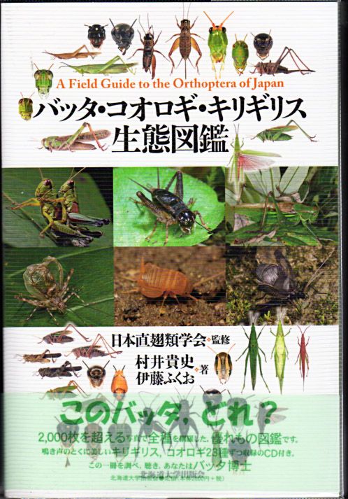 バッタ コオロギ キリギリス生態図鑑 付録cd2枚組 おじなみの日記 楽天ブログ