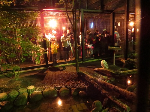 釧路市動物園 夜の動物園まつり 北海道庁のブログ「超！！旬ほっかいどう」 楽天ブログ
