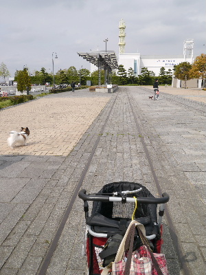 2012横浜1-15.JPG