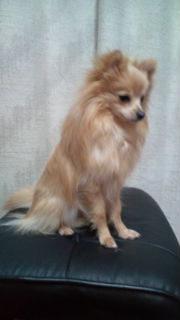 20120203192550.jpg
