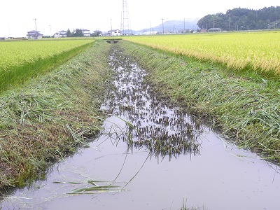 DSCN9189.jpg