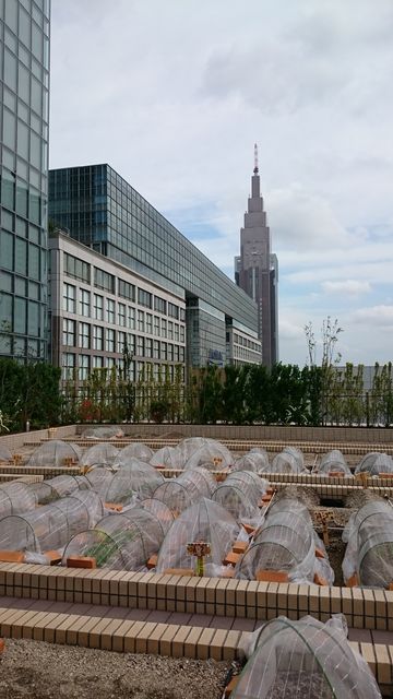 2016-04-23 14.17.41.jpg