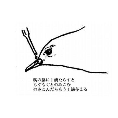 野生動物のレスキューマニュアル 森田正治 文永堂出版 健康・医学