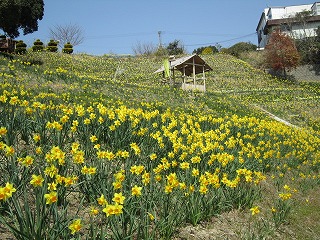 IMG_1986.jpg