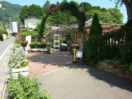 京都 松尾園芸さん行ってきました バラ 料理 甲状腺 趣味のetc 楽天ブログ