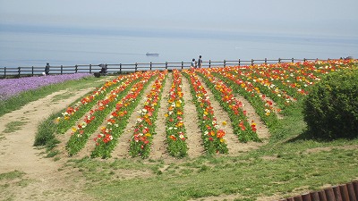 IMG_6509.jpg