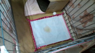 2012-03-02 15:38:34