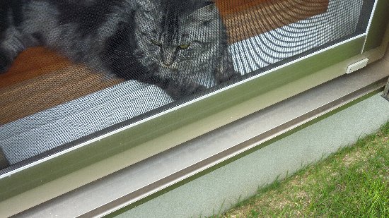 Maru01