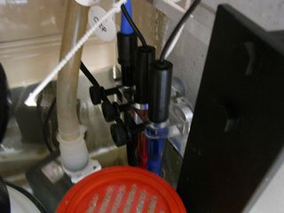 RIMG0491.jpg