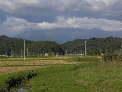 DSCN9550.jpg