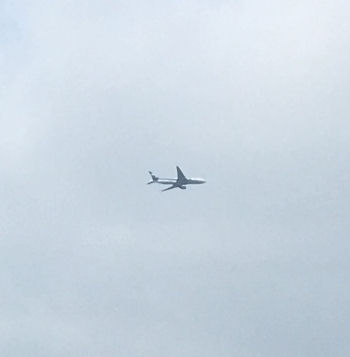 飛行機