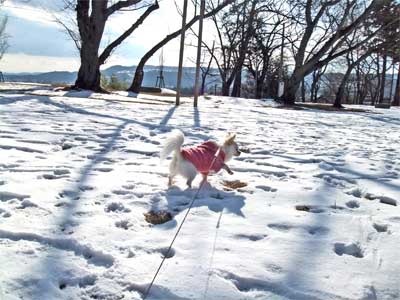 2012.2.2-2.jpg
