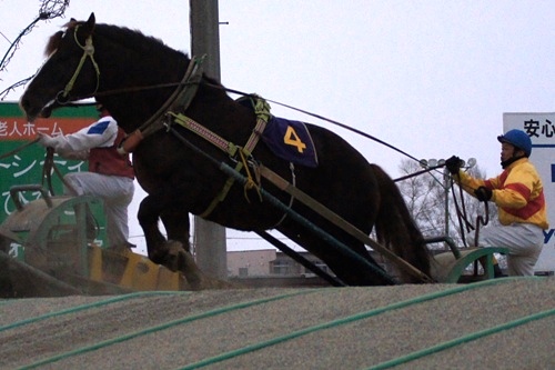 ほこ×たて、ばんえい競馬・テンマデトドケ号と安部憲二騎手 | 空と猫と