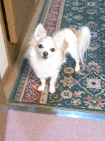 rblog-20130430073637-04.png