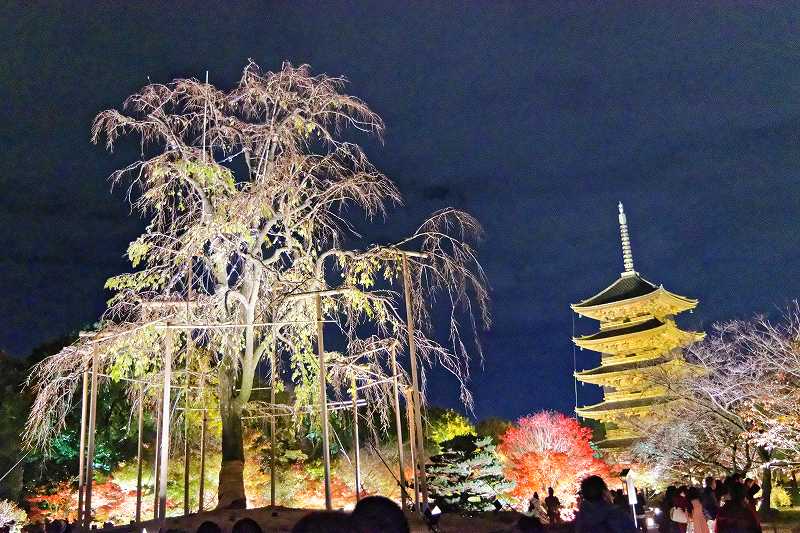 京の秋巡り 東寺 東福寺 瀧尾神社 夢の浮き船跡 ぐる り 京のお散歩 楽天ブログ