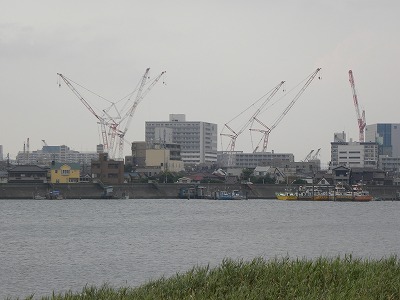 DSCN9712.jpg