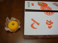 ととみやげ2