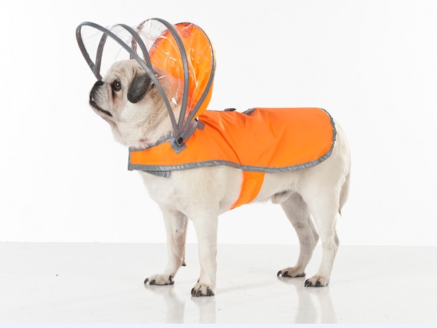Push Pushiが手掛けた犬のレインコートがオシャレなのに機能性も抜群で話題に 愛すべき道具達 楽天ブログ