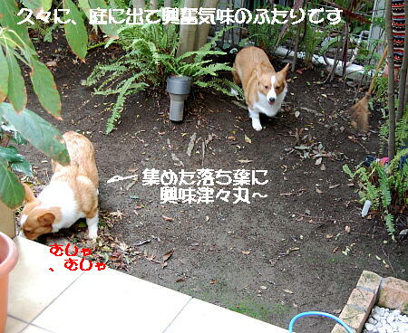 030402.jpg