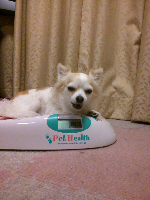 rblog-20130807132555-00.png