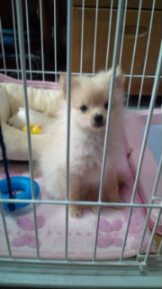 20110616093633.jpg