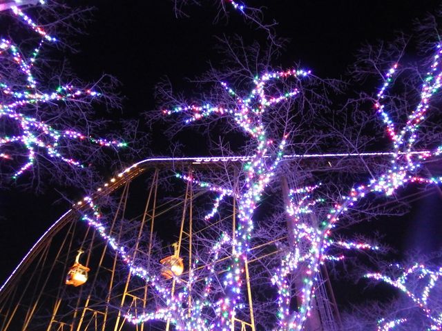 DSCF3512.JPG