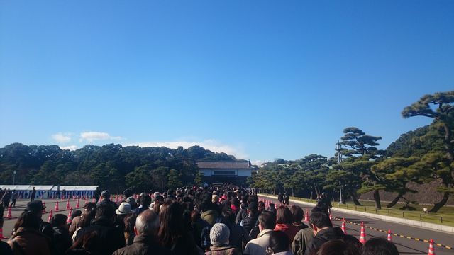2014-12-06 12.50.32.jpg