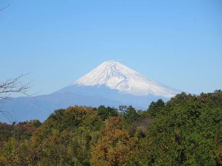 紅葉がきれいになってきました1.jpg