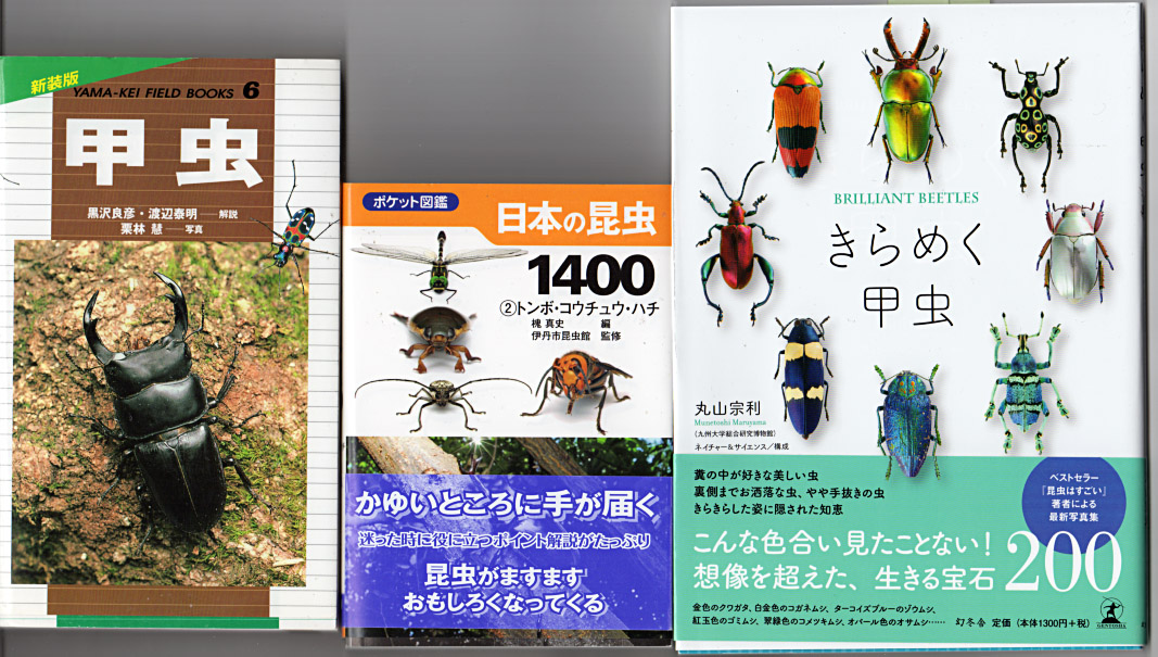 昆虫の本 | おじなみの日記 - 楽天ブログ