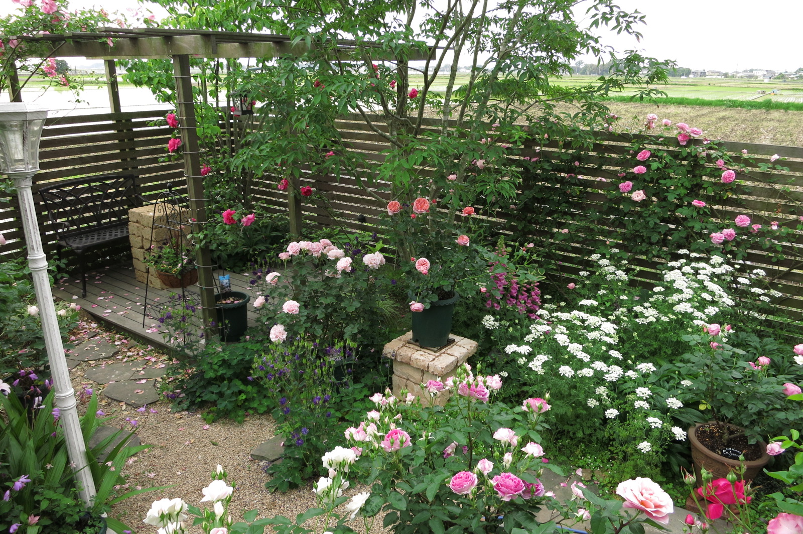 植え込みスペース拡張 ガーデンdiy 男のバラ庭造り 楽天ブログ