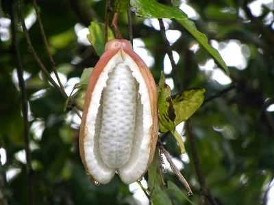 DSCN9531.jpg