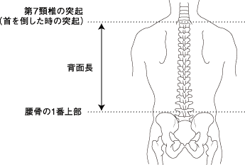 バックパック ストア 背面長 身長