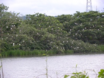 DSCN4191.jpg