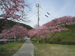 IMG_5492.jpg