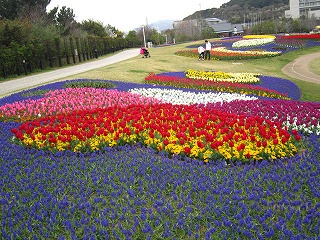 IMG_6094.jpg