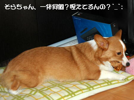 040503.jpg